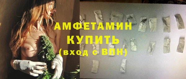 ГАЛЛЮЦИНОГЕННЫЕ ГРИБЫ Аркадак