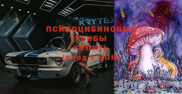 гидропоника Алзамай