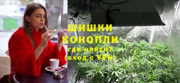 PSILOCYBIN Армянск