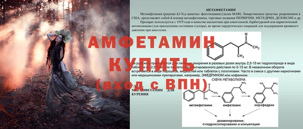 PSILOCYBIN Армянск