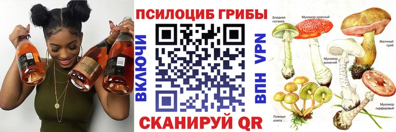 как найти закладки  Камбарка  Галлюциногенные грибы мухоморы 
